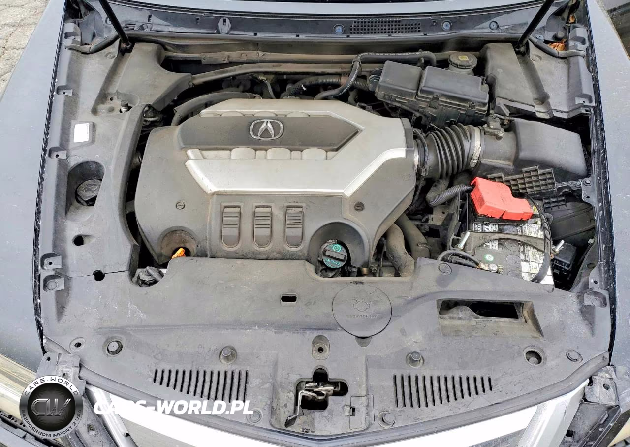 2009 Acura Rl VIN:JH4KB26679C002266 - 11