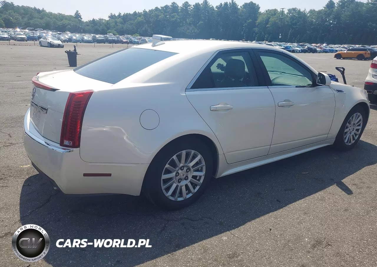 2010 Cadillac Cts Luxury Collection VIN:1G6DE5EG8A0150853 - 3