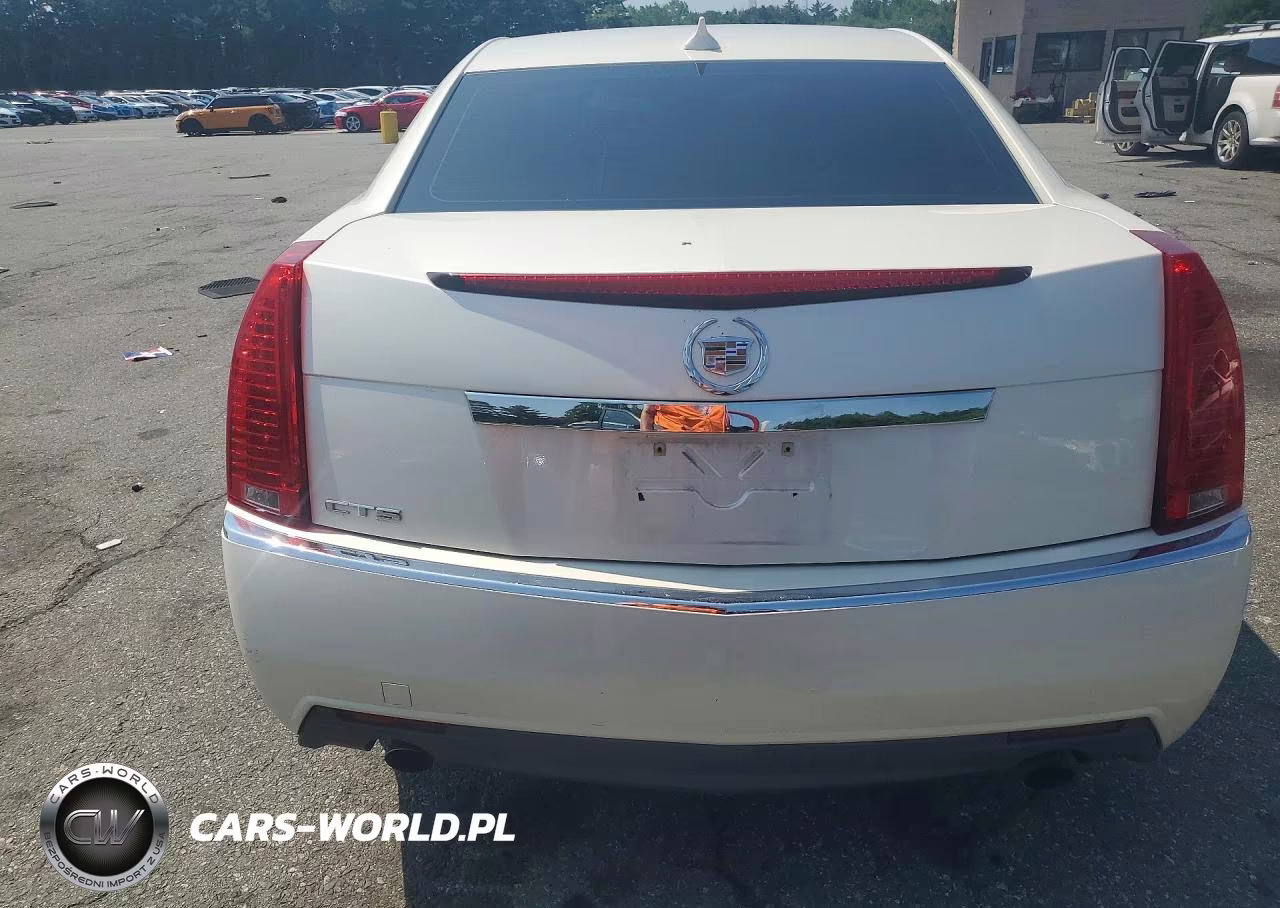 2010 Cadillac Cts Luxury Collection VIN:1G6DE5EG8A0150853 - 6