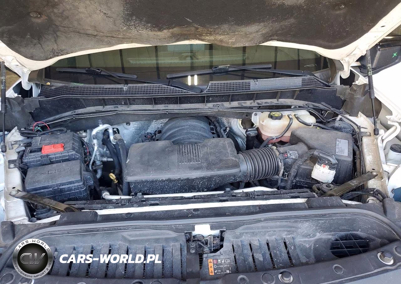 2020 Chevrolet Silverado K1500 Lt Trail Boss VIN:3GCPYFED5LG297398 - 11