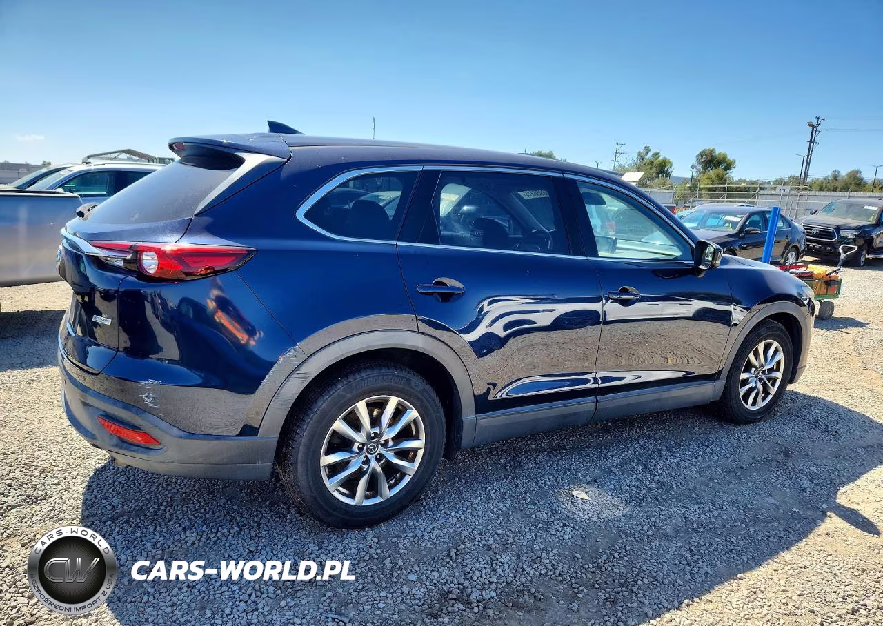 2016 Mazda Cx-9 Touring VIN:JM3TCACY6G0119863 - 3