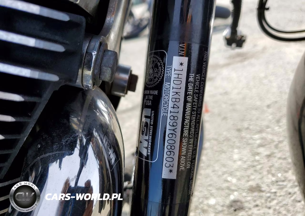 2009 Harley-Davidson Flhx VIN:1HD1KB4189Y608603 - 8