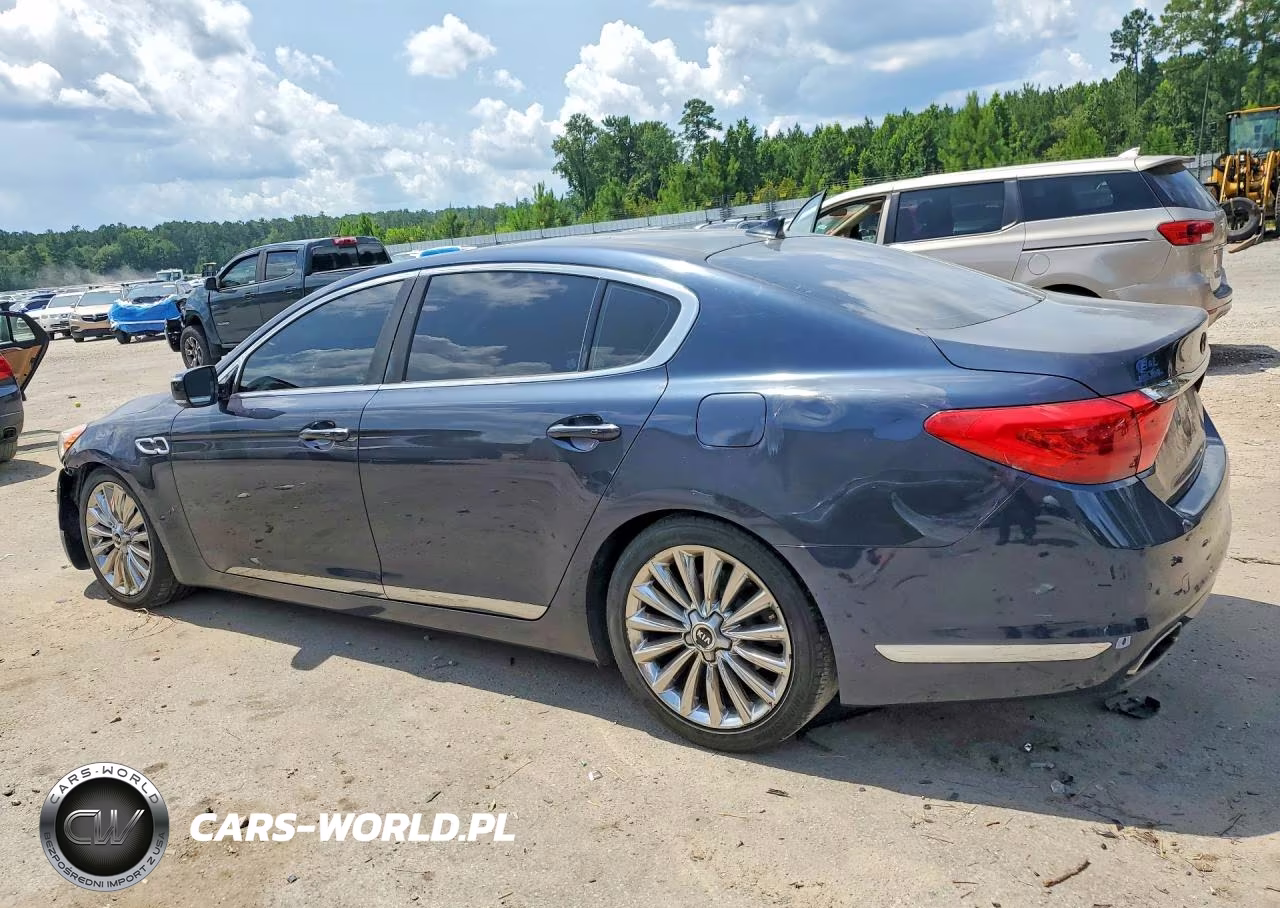 2015 Kia K900 Luxury VIN:KNALW4D41F6018655 - 2
