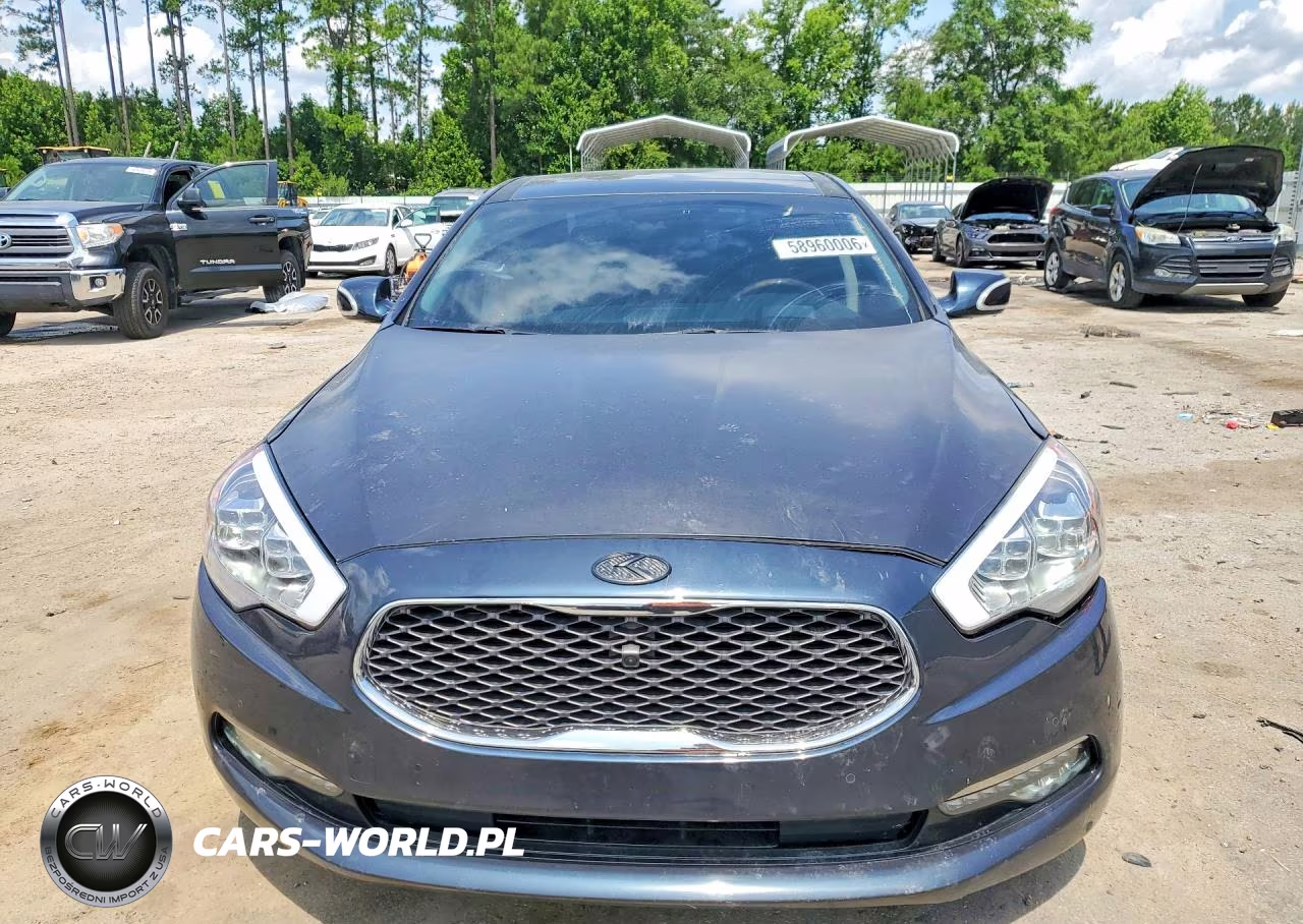 2015 Kia K900 Luxury VIN:KNALW4D41F6018655 - 5