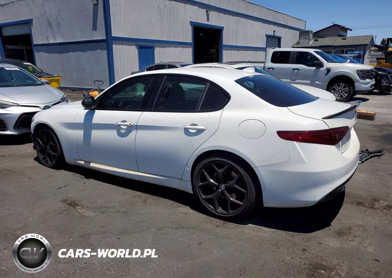 2020 Alfa Romeo Giulia VIN:ZARFAMAN3L7634302 - 2