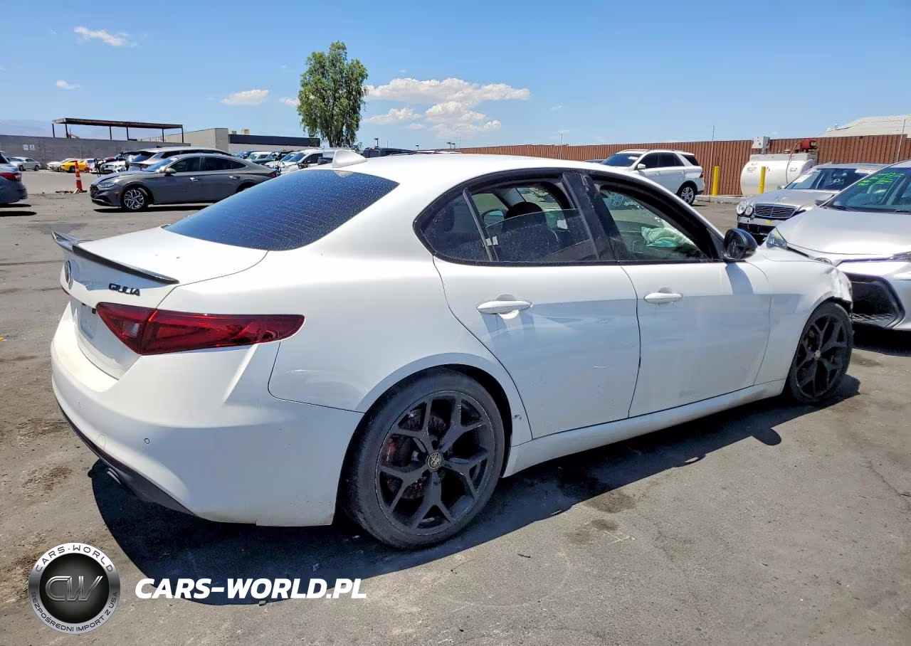 2020 Alfa Romeo Giulia VIN:ZARFAMAN3L7634302 - 3