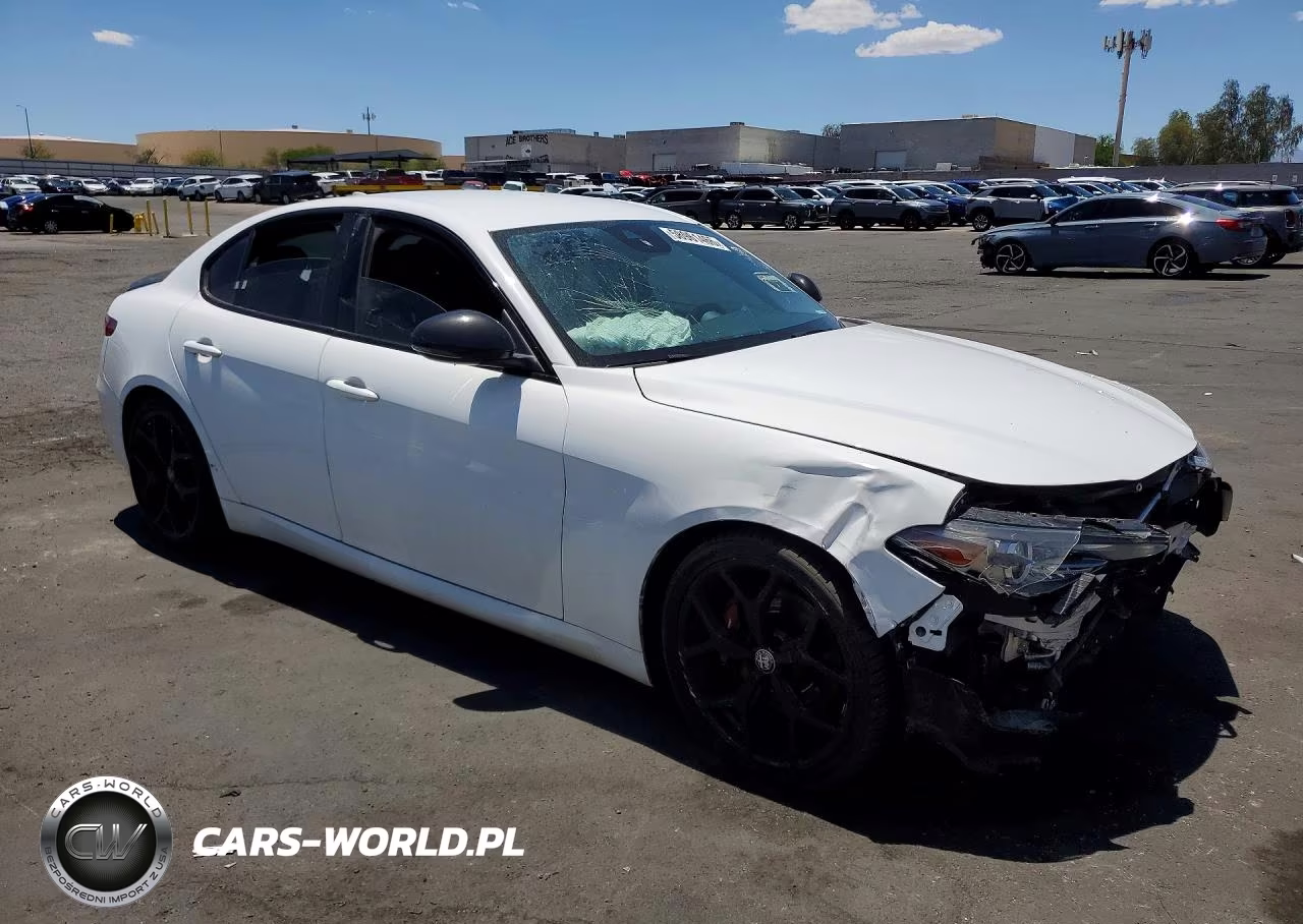 2020 Alfa Romeo Giulia VIN:ZARFAMAN3L7634302 - 4