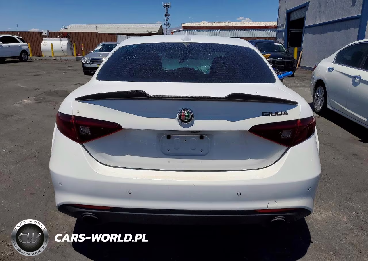 2020 Alfa Romeo Giulia VIN:ZARFAMAN3L7634302 - 6