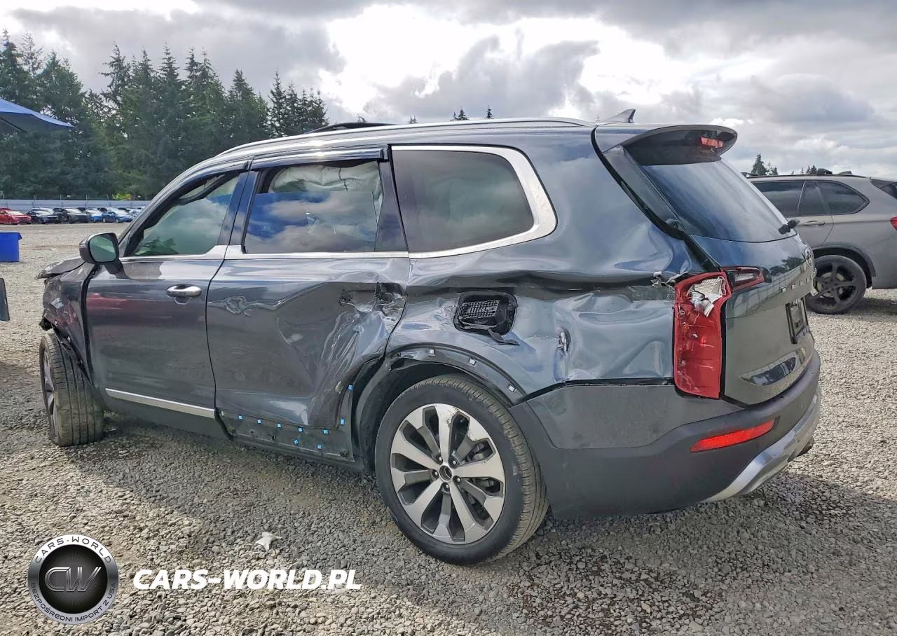 2021 Kia Telluride S VIN:5XYP64HC5MG119701 - 2