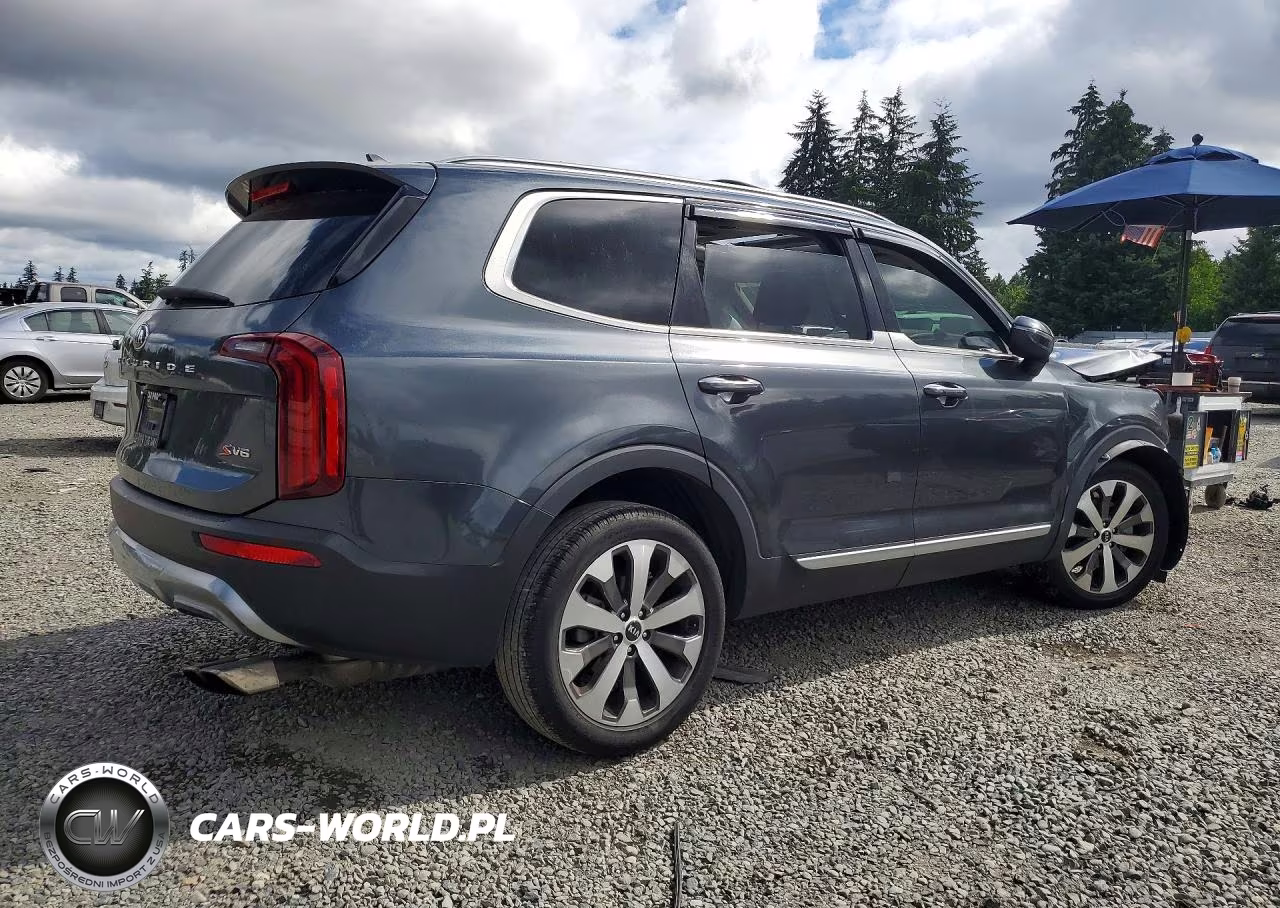 2021 Kia Telluride S VIN:5XYP64HC5MG119701 - 3