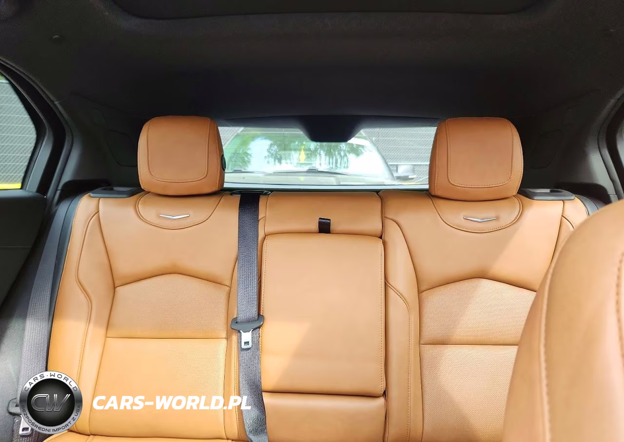 2020 Cadillac Xt4 Premium Luxury VIN:1GYFZDR44LF079200 - 10