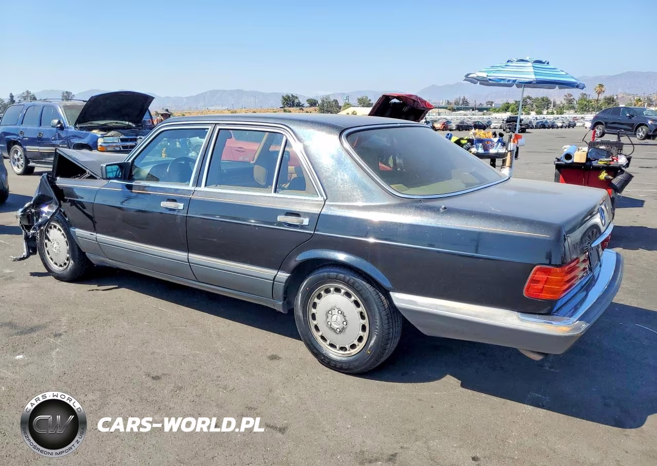 1991 Mercedes-Benz 300 Se VIN:WDBCA24D4MA604197 - 2