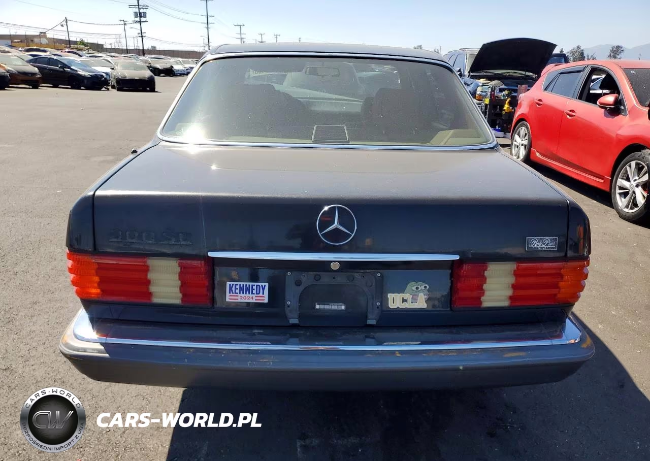 1991 Mercedes-Benz 300 Se VIN:WDBCA24D4MA604197 - 6