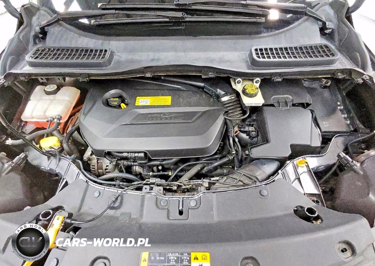 2013 Ford Escape Sel VIN:1FMCU9HX4DUB12057 - 12