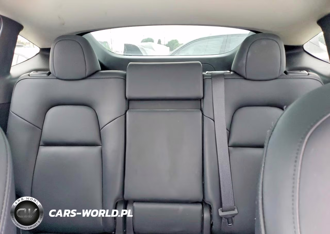 2023 Tesla Model Y VIN:7SAYGDEE1PA025737 - 10