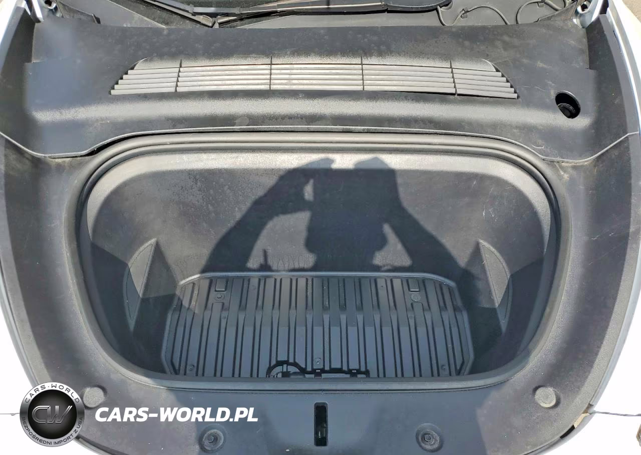 2023 Tesla Model Y VIN:7SAYGDEE1PA025737 - 12