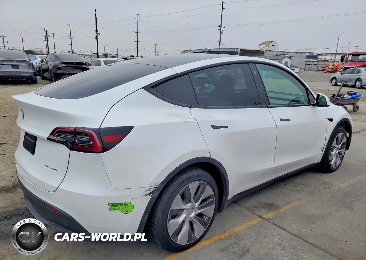 2023 Tesla Model Y VIN:7SAYGDEE1PA025737 - 3