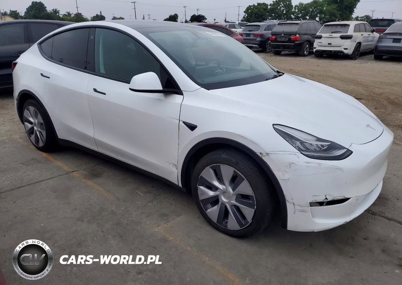 2023 Tesla Model Y VIN:7SAYGDEE1PA025737 - 4
