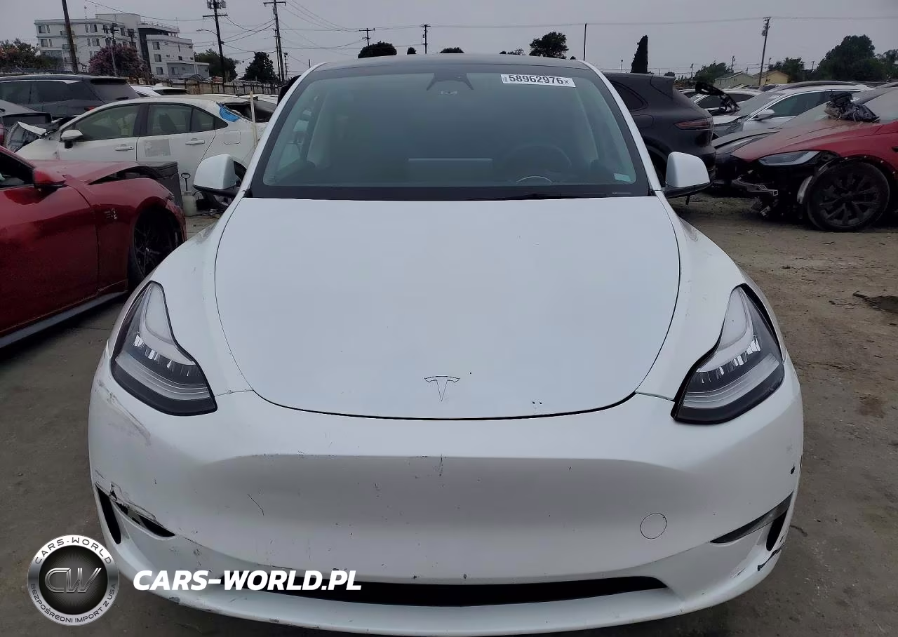 2023 Tesla Model Y VIN:7SAYGDEE1PA025737 - 5