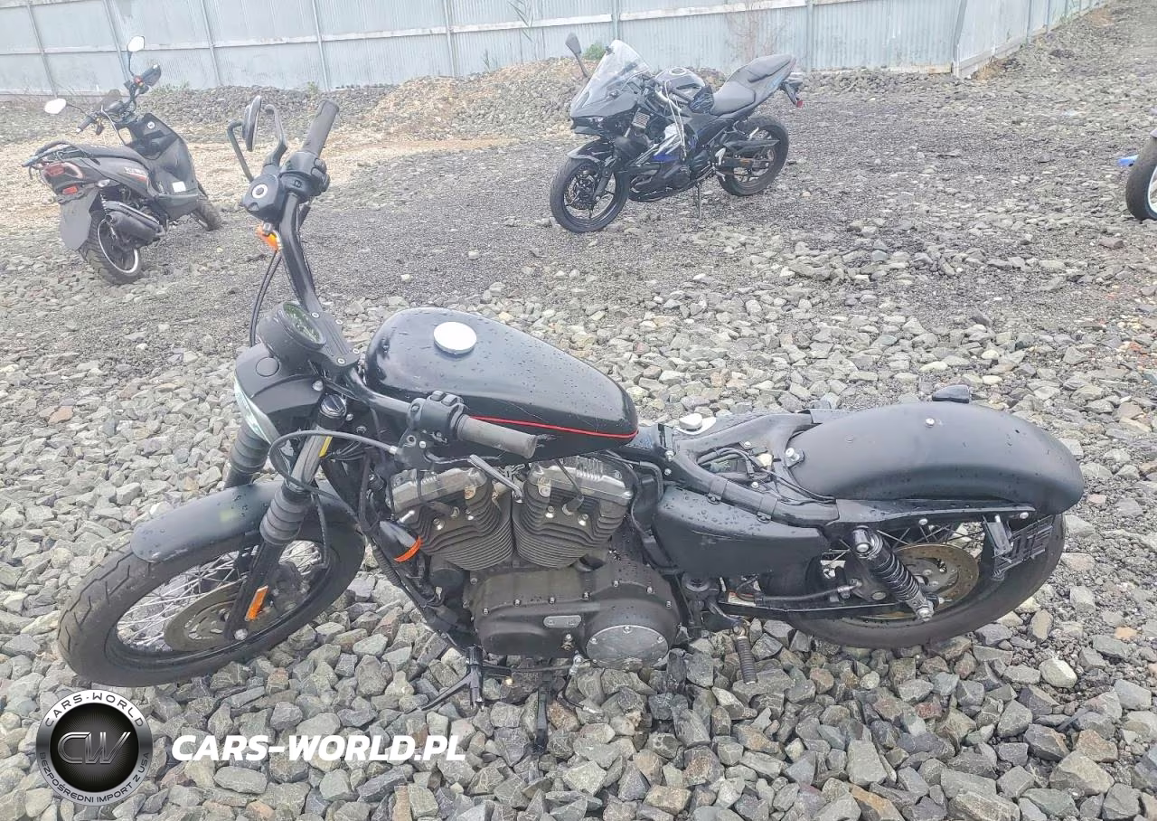 2012 Harley-Davidson Xl1200 Nightster VIN:1HD1CZ314CC404604 - 3