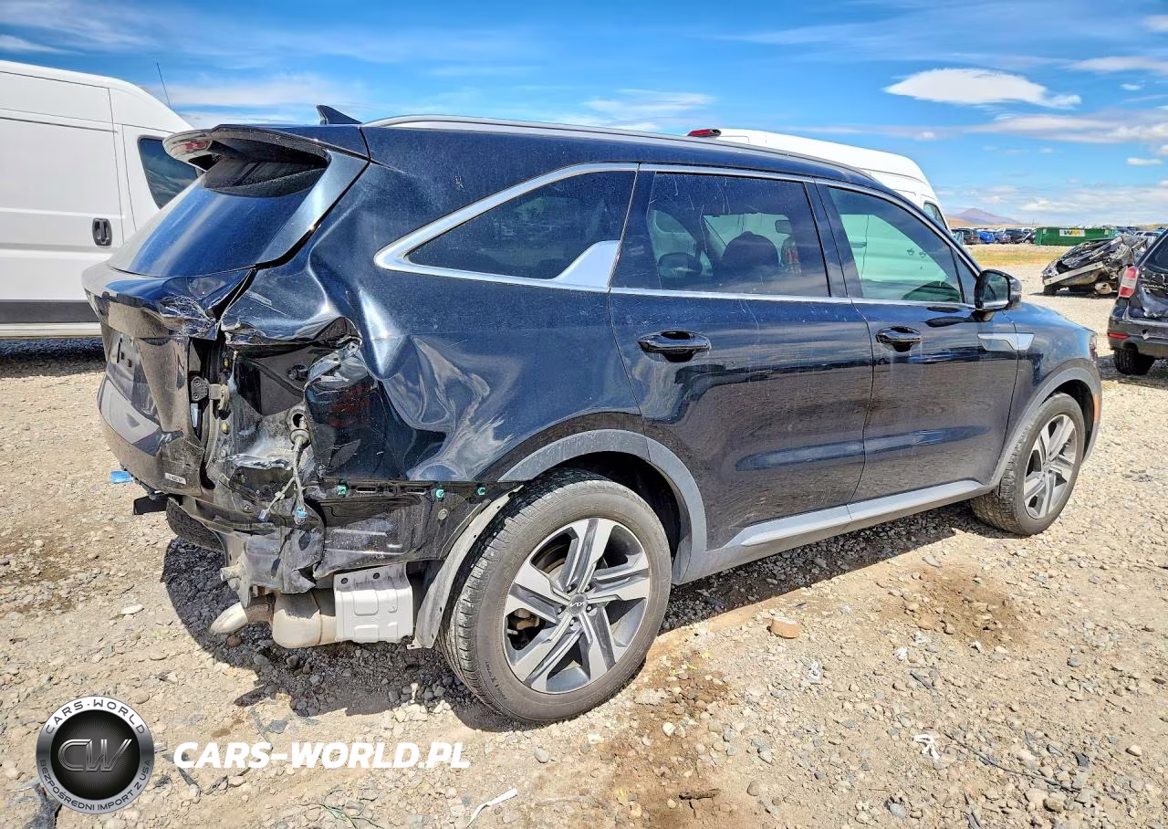 2024 Kia Sorento Ex VIN:KNDRHDLG4R5259641 - 3