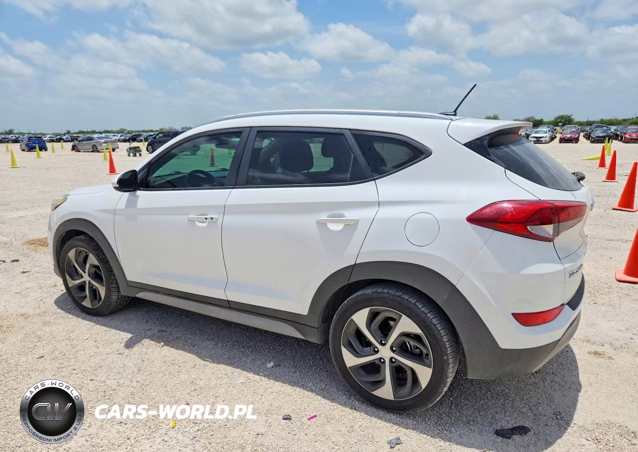 2017 Hyundai Tucson Sport VIN:KM8J3CA29HU587022 - 2