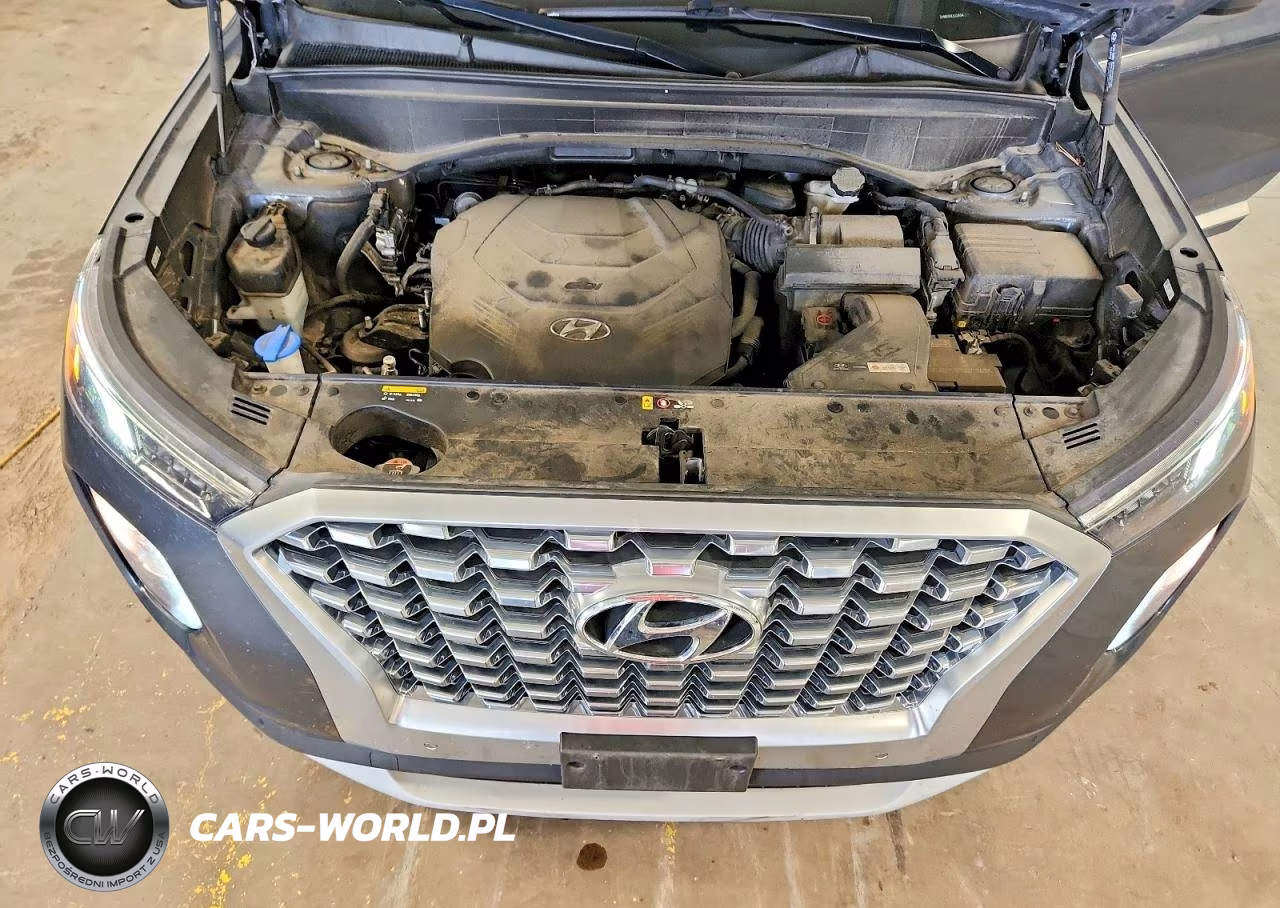 2020 Hyundai Palisade Sel VIN:KM8R3DHE1LU126544 - 12