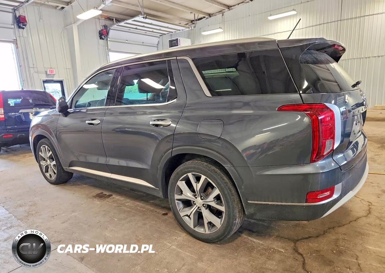 2020 Hyundai Palisade Sel VIN:KM8R3DHE1LU126544 - 2