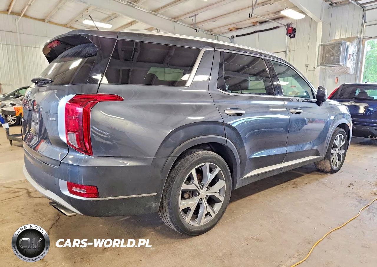2020 Hyundai Palisade Sel VIN:KM8R3DHE1LU126544 - 3