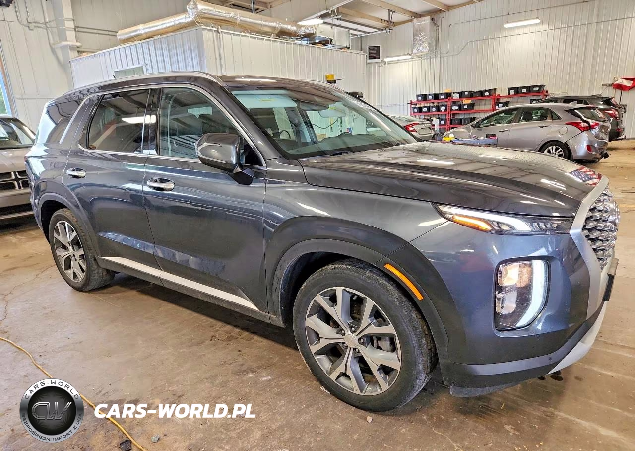 2020 Hyundai Palisade Sel VIN:KM8R3DHE1LU126544 - 4