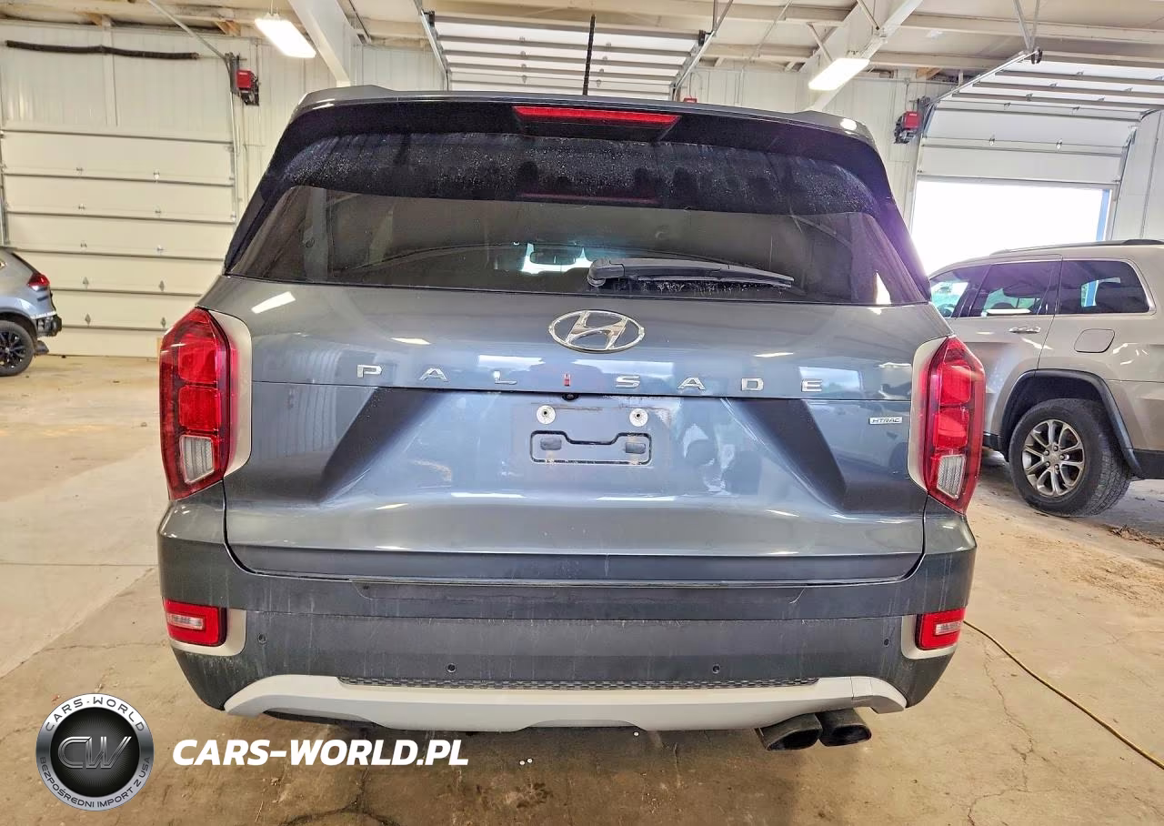 2020 Hyundai Palisade Sel VIN:KM8R3DHE1LU126544 - 6