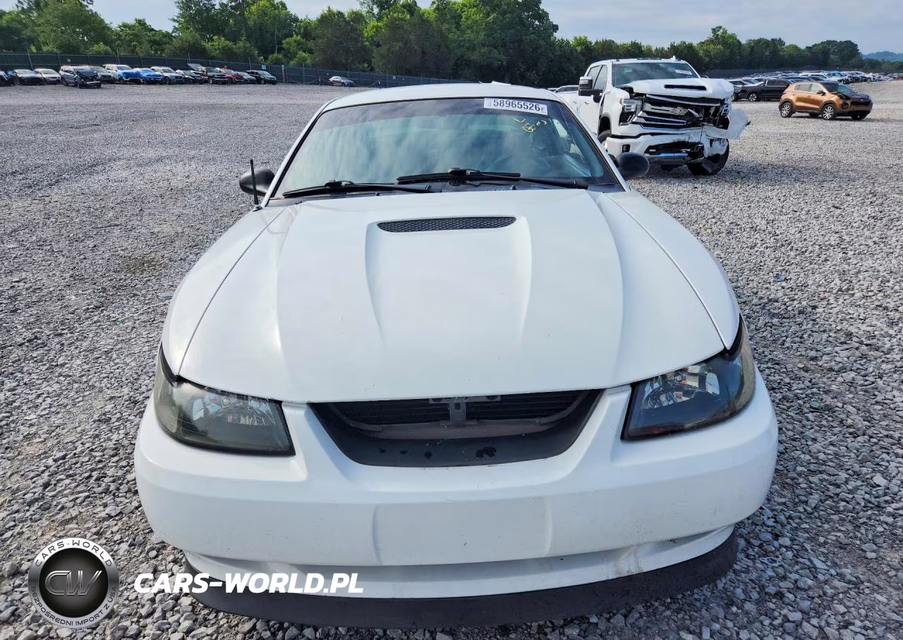 2000 Ford Mustang Gt VIN:1FAFP42X5YF240232 - 5