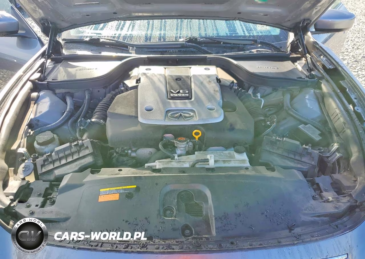 2014 Infiniti Q60 Convertible Base VIN:JN1CV6FE2EM901278 - 11