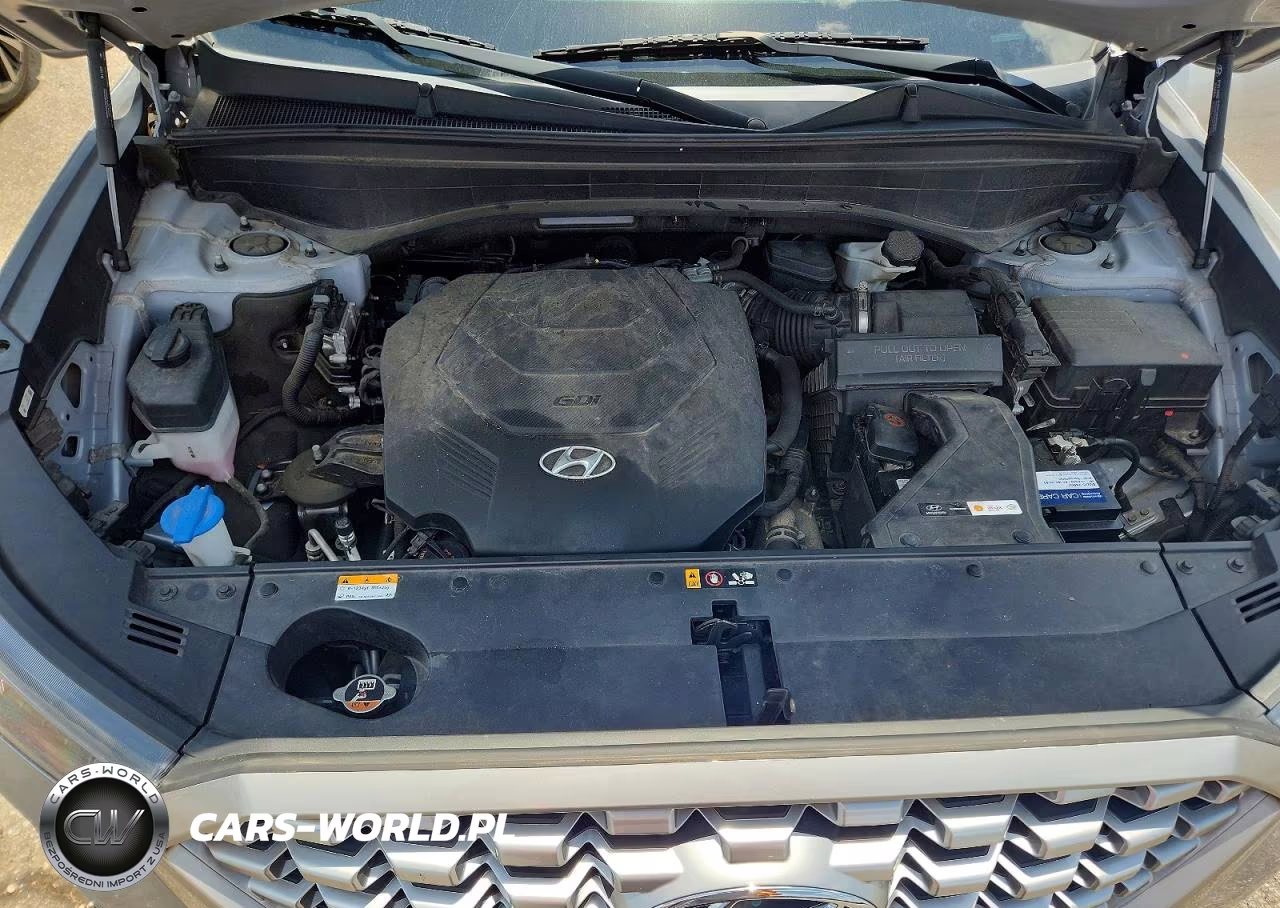 2021 Hyundai Palisade Sel VIN:KM8R34HE1MU270385 - 12
