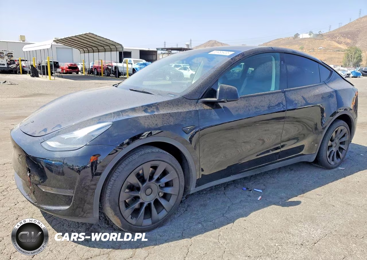 2024 Tesla Model Y VIN:7SAYGDED1RF102734 - 1