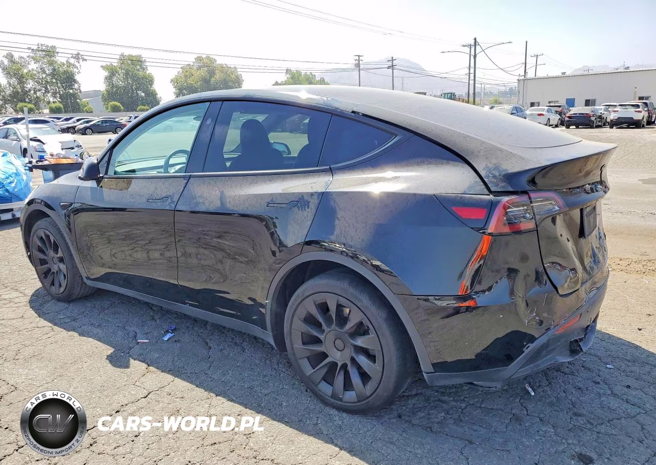 2024 Tesla Model Y VIN:7SAYGDED1RF102734 - 2