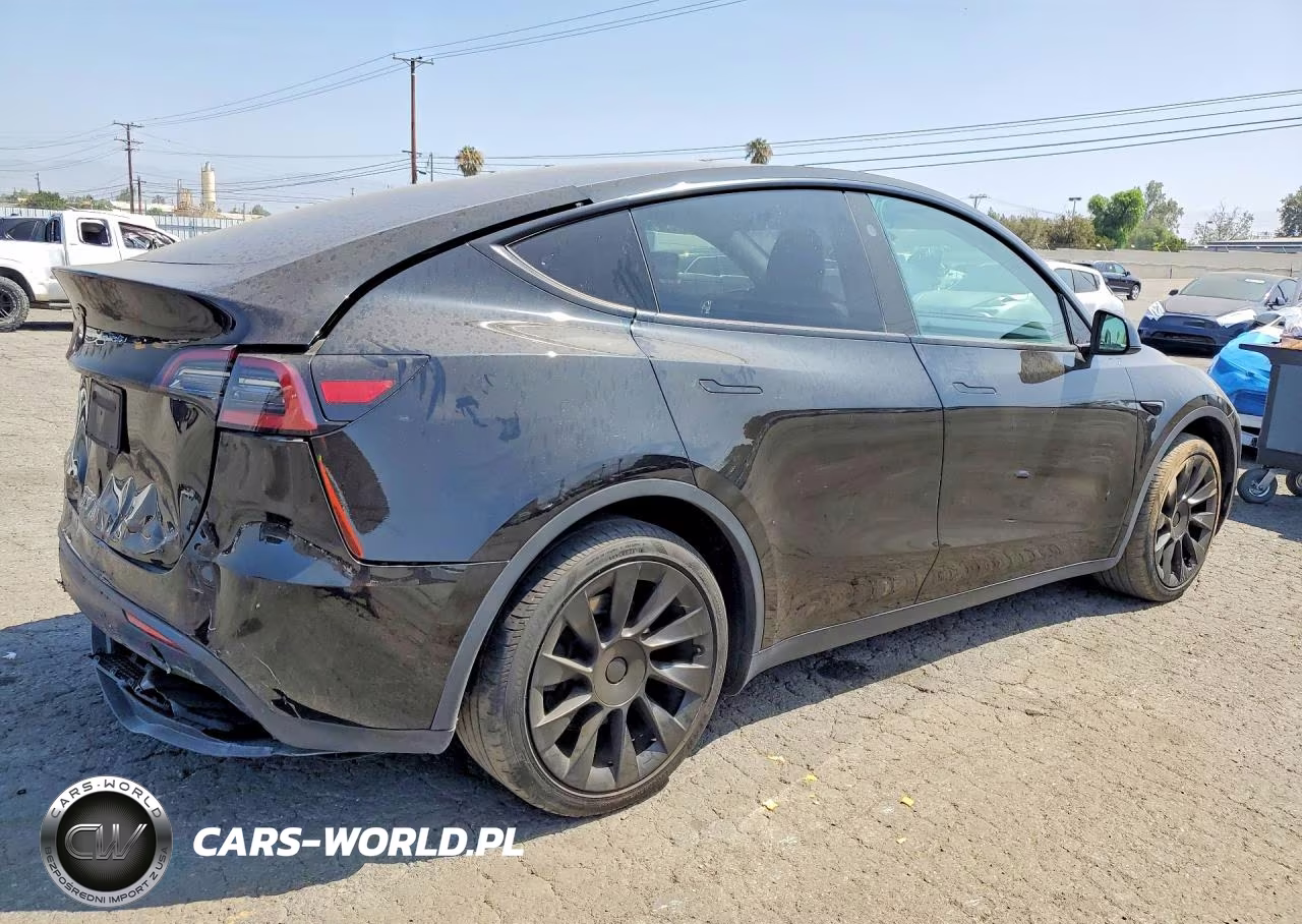 2024 Tesla Model Y VIN:7SAYGDED1RF102734 - 3