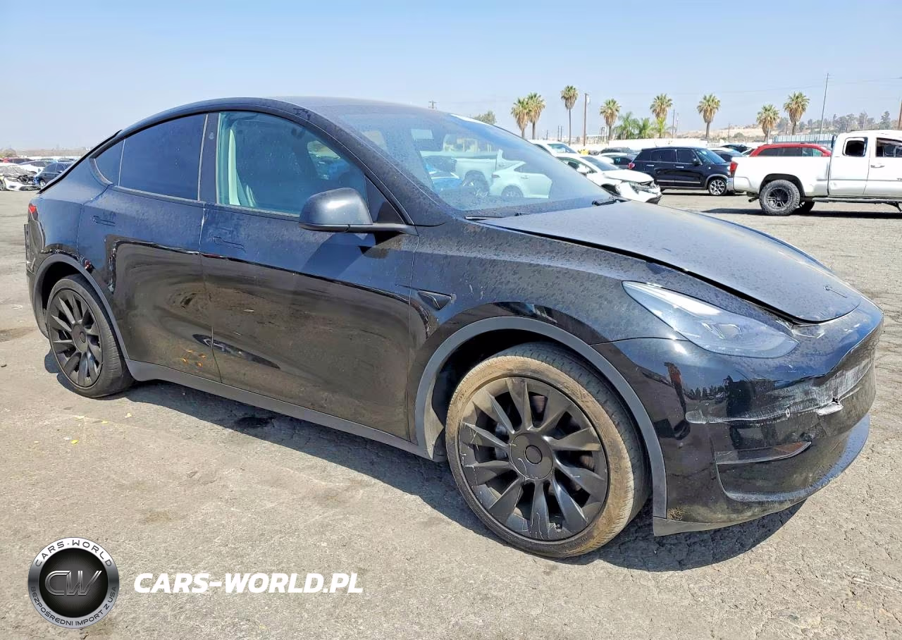 2024 Tesla Model Y VIN:7SAYGDED1RF102734 - 4