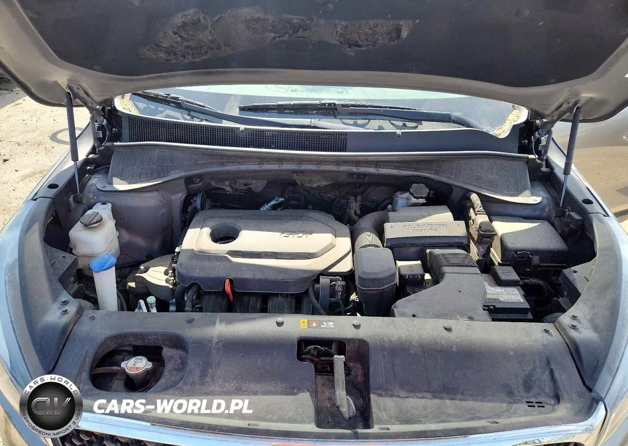 2017 Kia Sorento Lx VIN:5XYPGDA3XHG286309 - 12