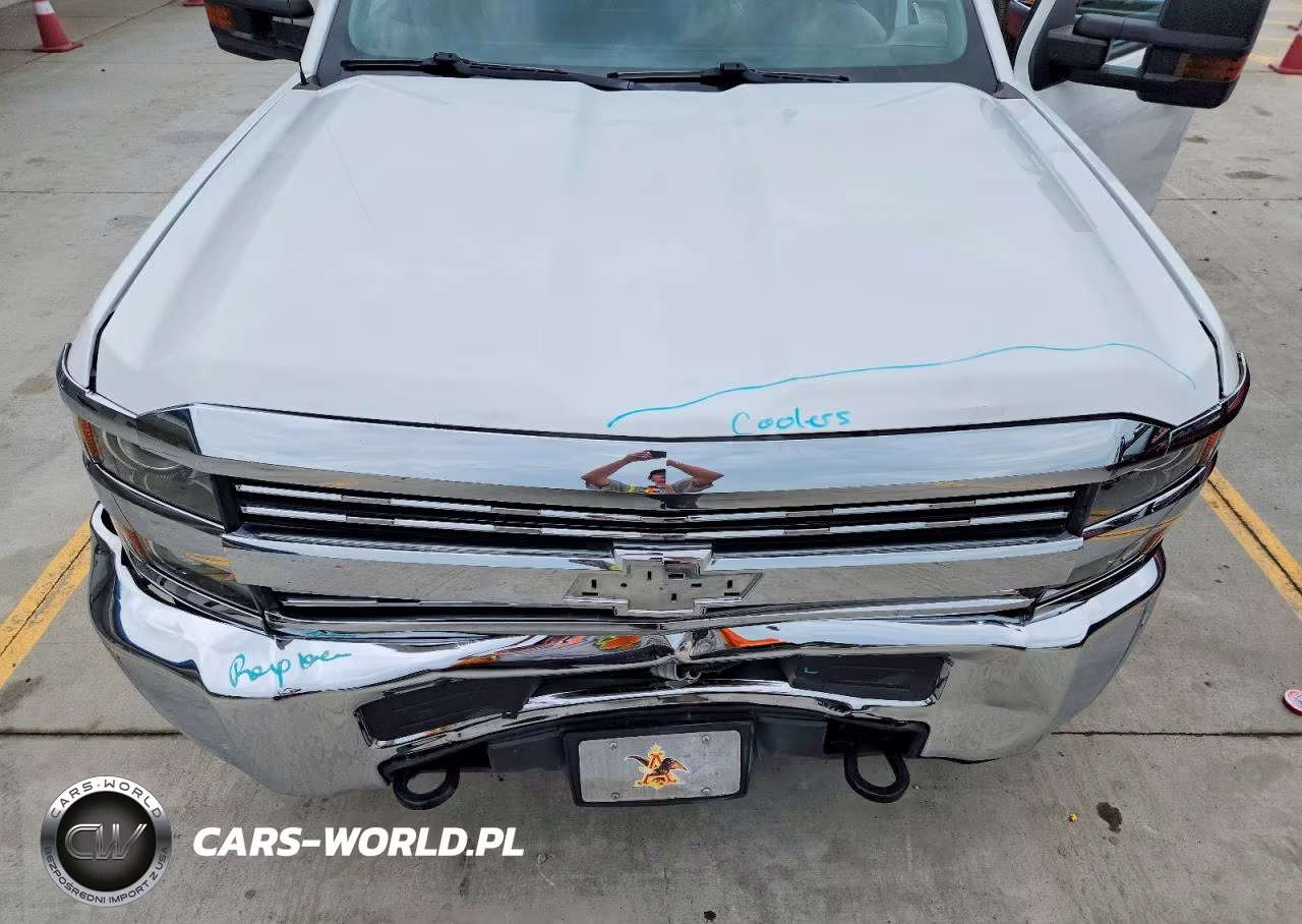 2017 Chevrolet Silverado K2500 Heavy Duty VIN:1GB2KUEG6HZ162484 - 11