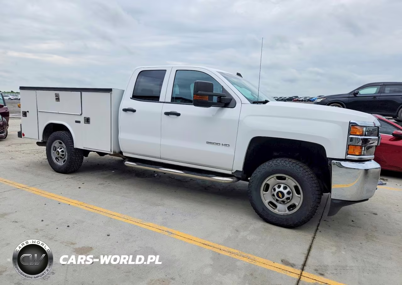 2017 Chevrolet Silverado K2500 Heavy Duty VIN:1GB2KUEG6HZ162484 - 4