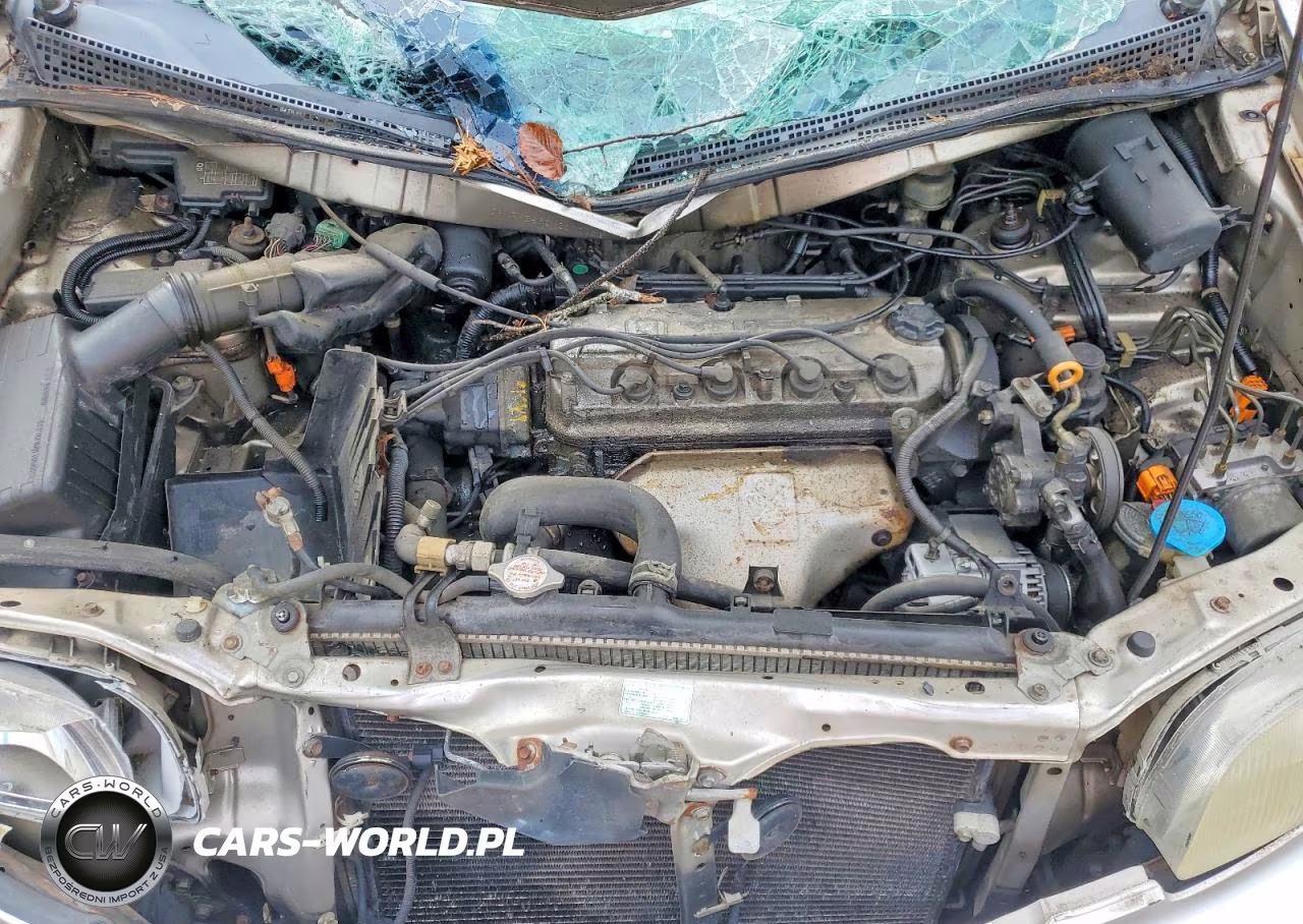 1998 Honda Odyssey Lx VIN:JHMRA3860WC011102 - 12
