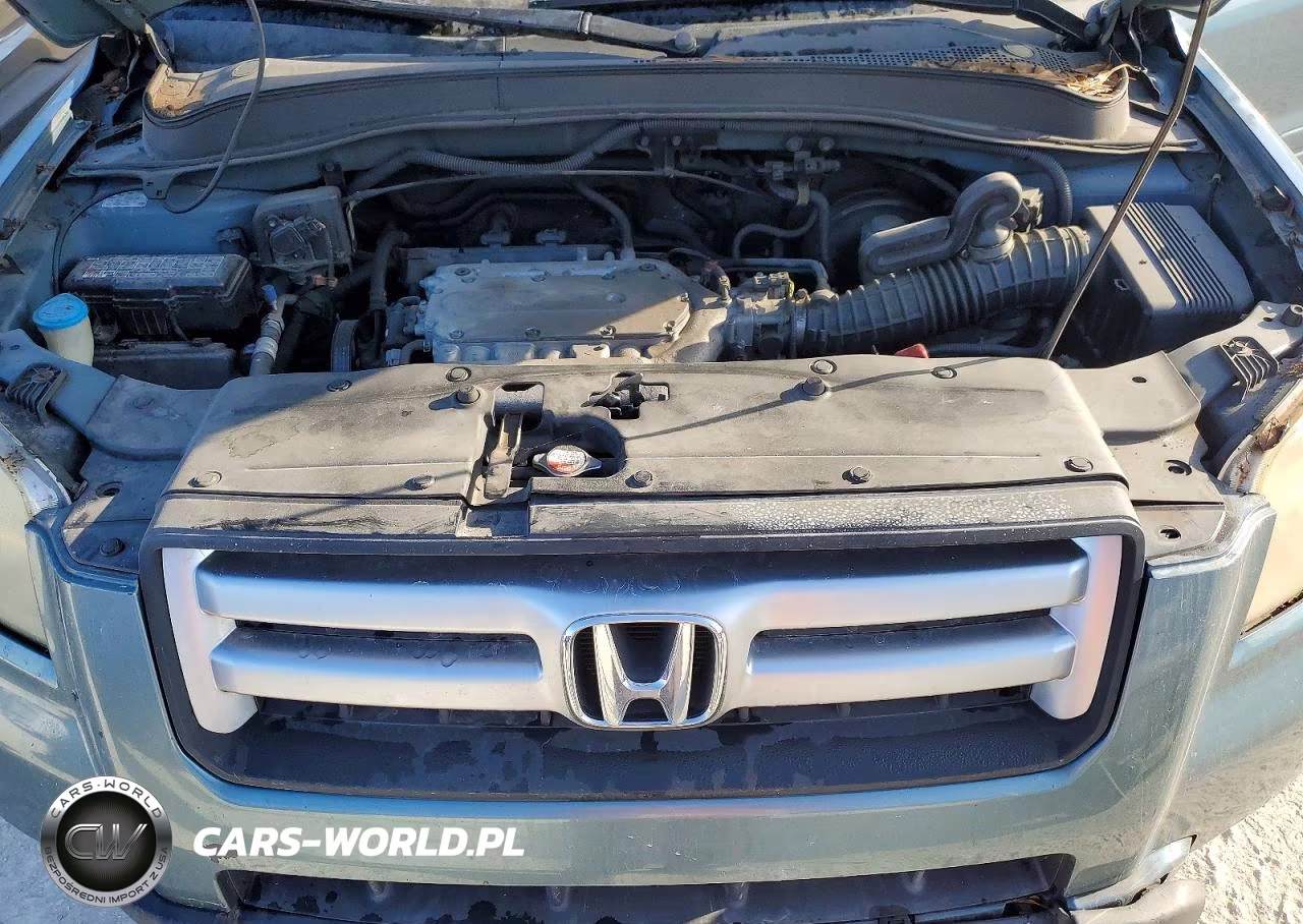 2007 Honda Pilot Ex VIN:5FNYF28437B009419 - 12