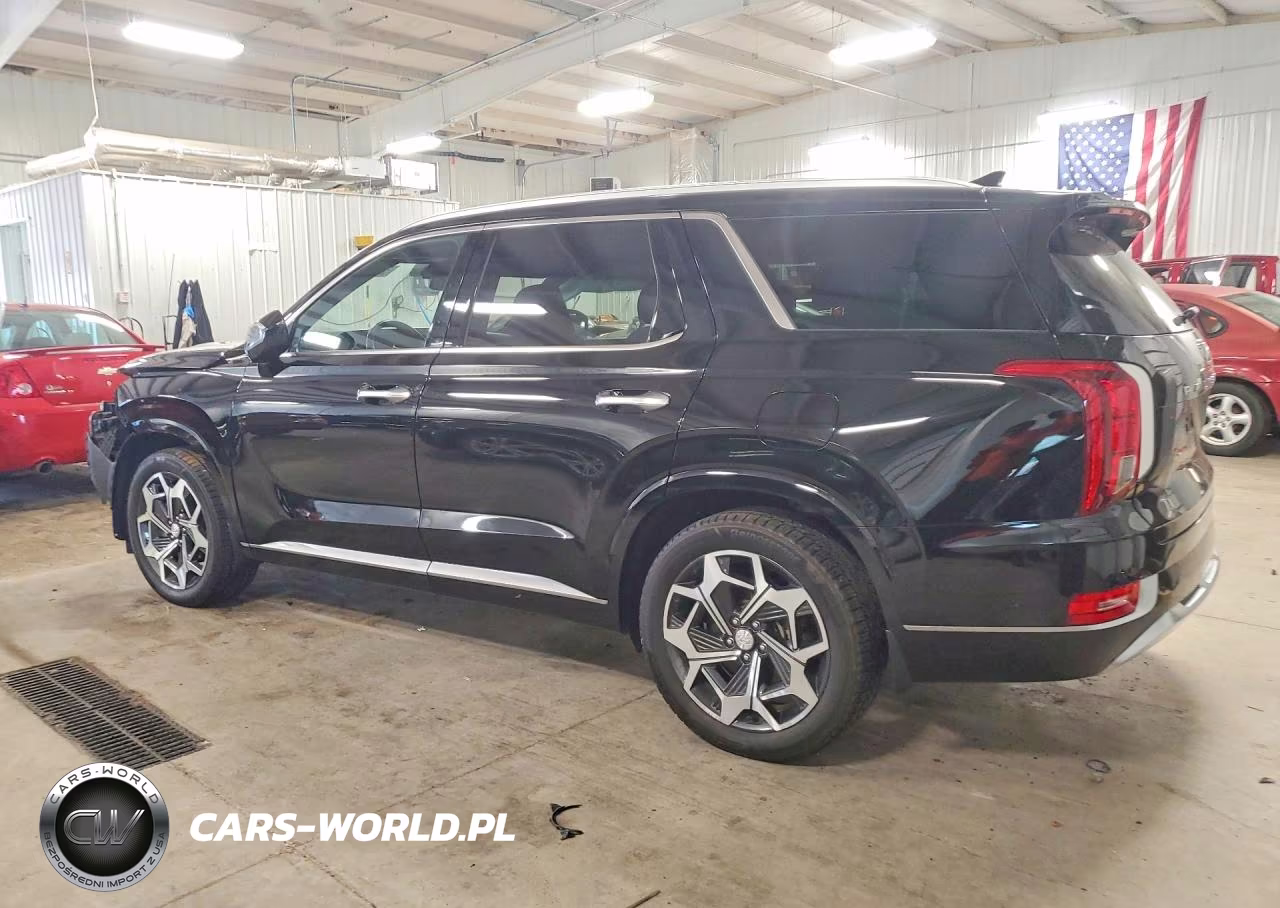 2021 Hyundai Palisade Calligraphy VIN:KM8R7DHE4MU246649 - 2