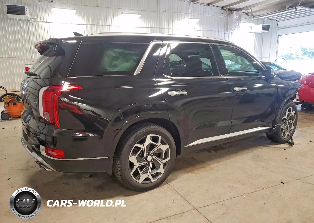 2021 Hyundai Palisade Calligraphy VIN:KM8R7DHE4MU246649 - 3
