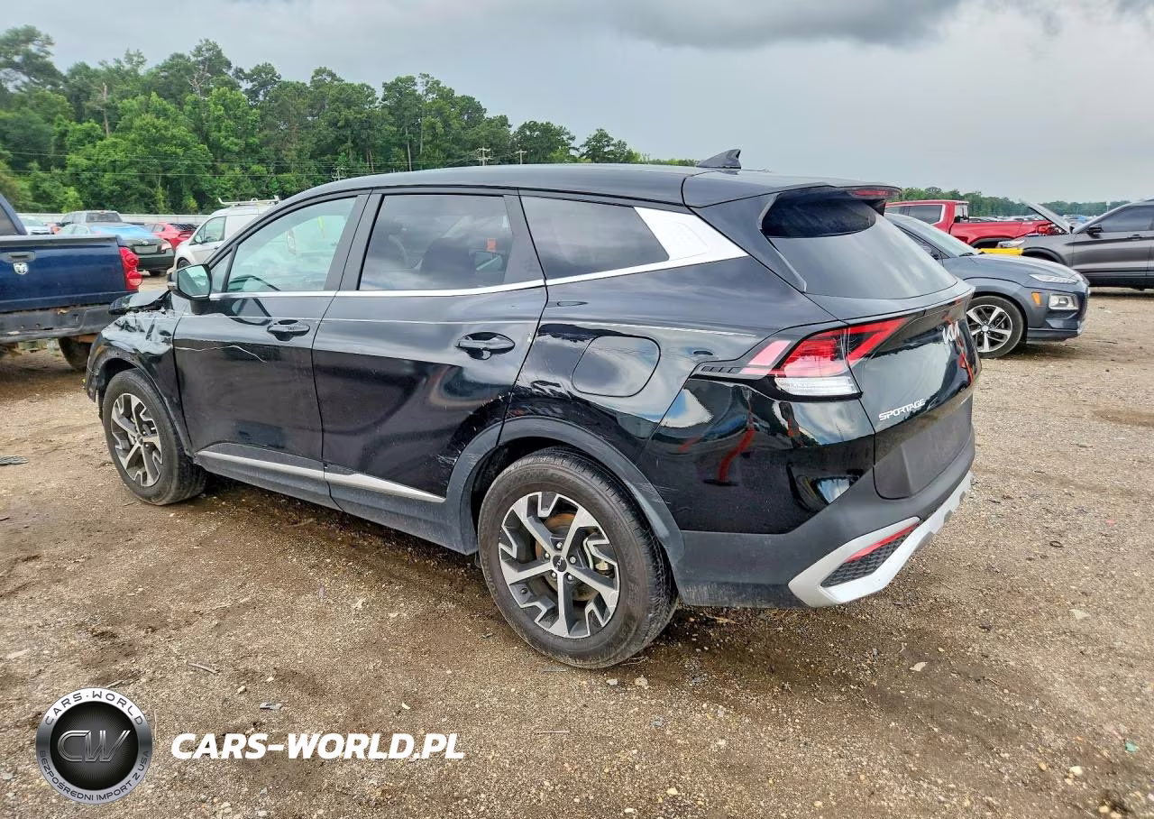 2024 Kia Sportage Ex VIN:5XYK33DF1RG228838 - 2