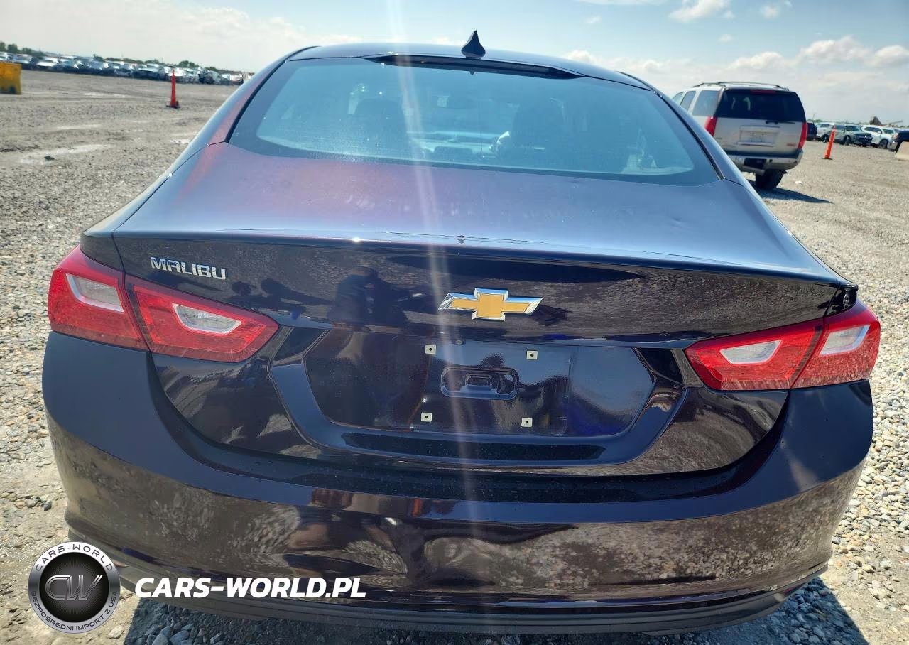 2020 Chevrolet Malibu Ls VIN:1G1ZC5ST4LF087477 - 6
