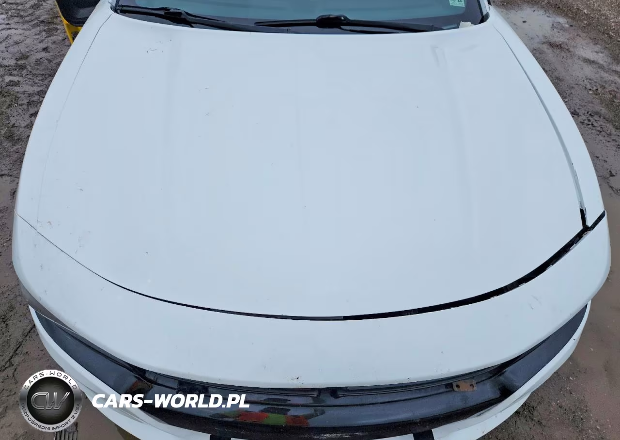 2019 Dodge Charger Police VIN:2C3CDXAT6KH592414 - 11