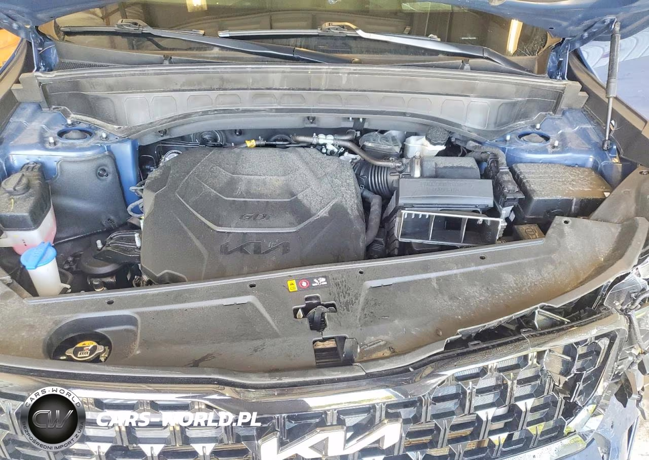 2024 Kia Telluride Sx-Prestige X-Line VIN:5XYP5DGC7RG537902 - 12