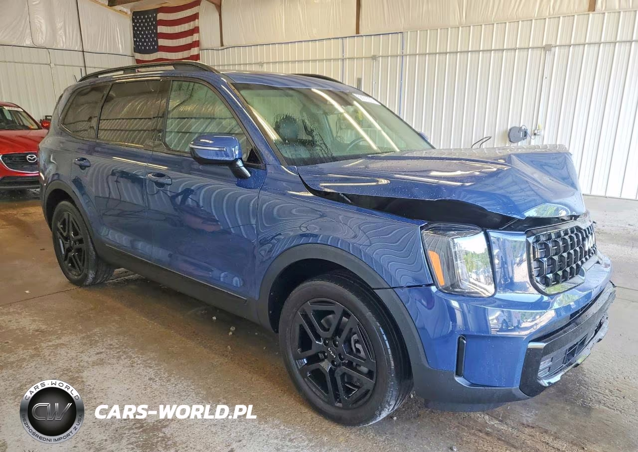 2024 Kia Telluride Sx-Prestige X-Line VIN:5XYP5DGC7RG537902 - 4